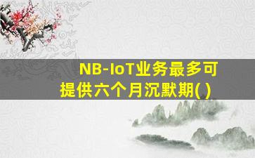 NB-IoT业务最多可提供六个月沉默期( )